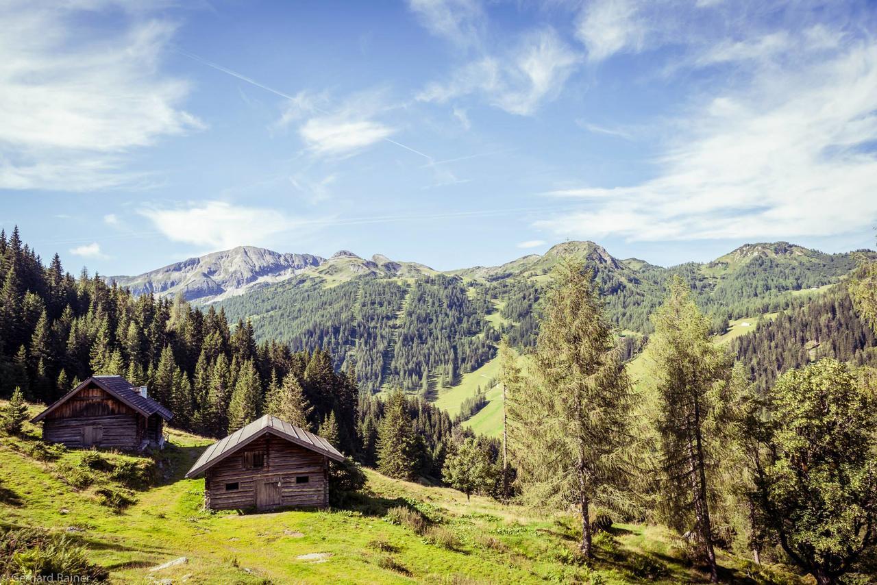 Hotel Alpenrose Цаухензе Екстер'єр фото